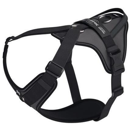 Harnais chien Julius-K9 en Y jk9®GO facile à mettre à anneau + poignée LARGE