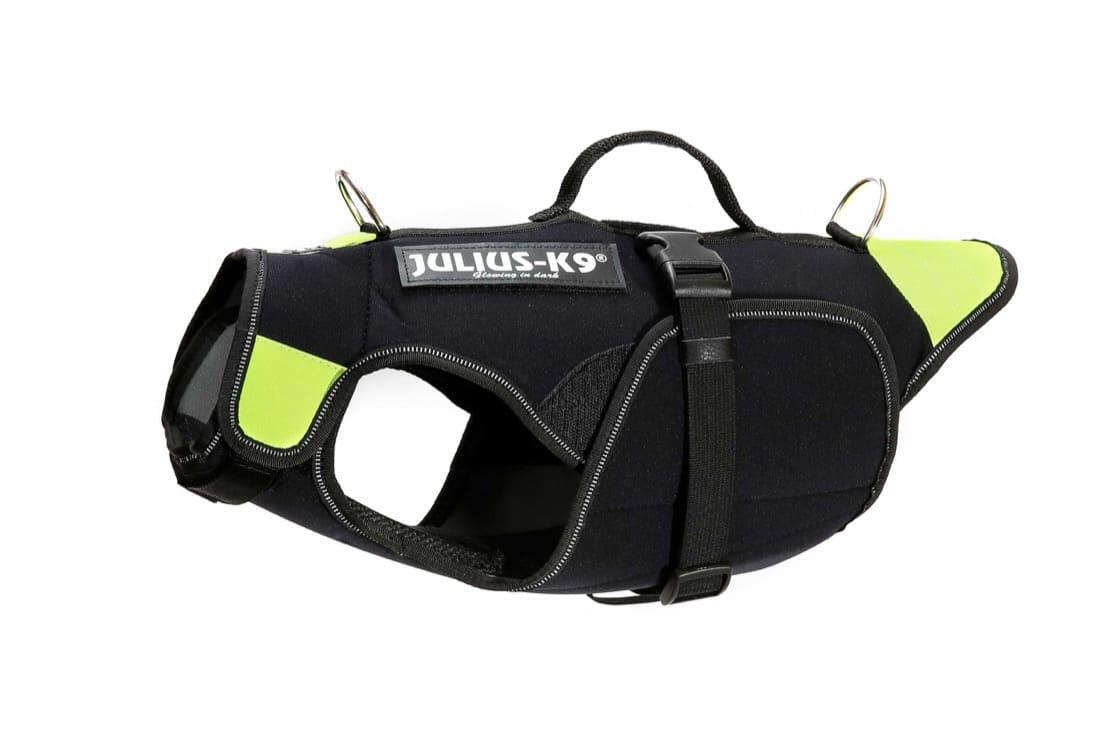 JULIUS-K9 picture