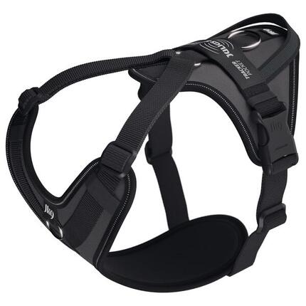 Harnais chien Julius-K9 en Y jk9®GO facile à mettre à anneau + poignée LARGE