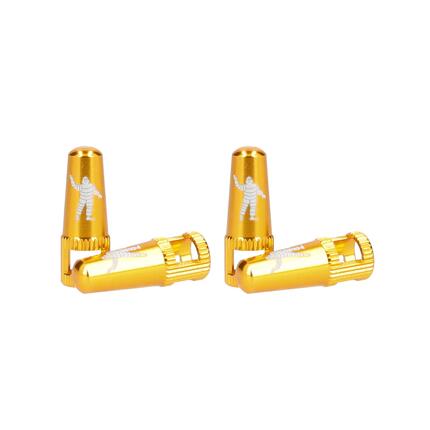 Lot de deux Bouchons de valves PRESTA avec Démonte-obus