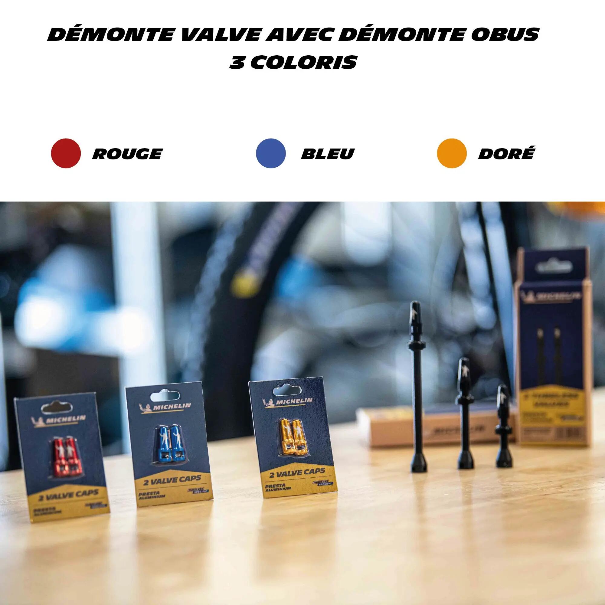 Lot de deux Bouchons de valves PRESTA avec Démonte-obus 2/4
