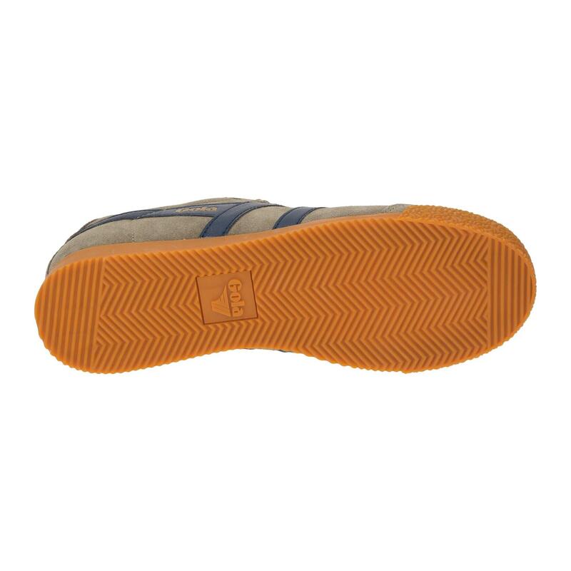 Baskets Homme Baskets Gola HARRIER Gris Gola