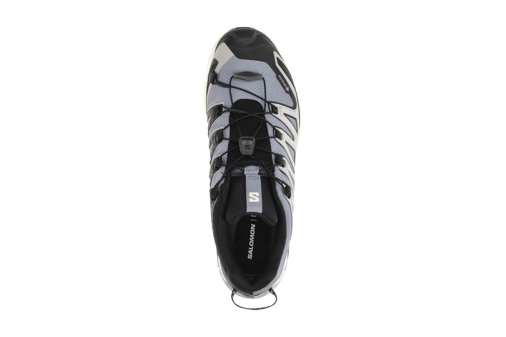 SALOMON SHOES XA PRO 3D V9 GTX Flint/Black/ 6/7