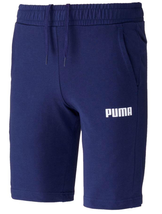 PUMA picture