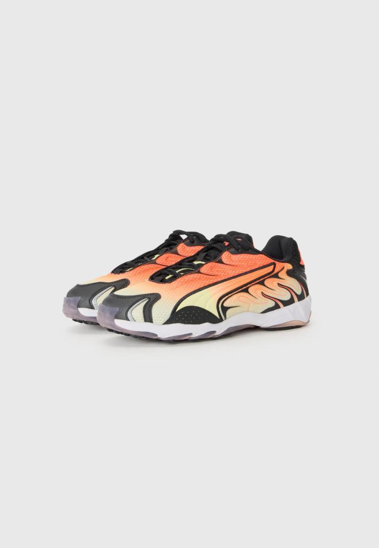 PUMA picture