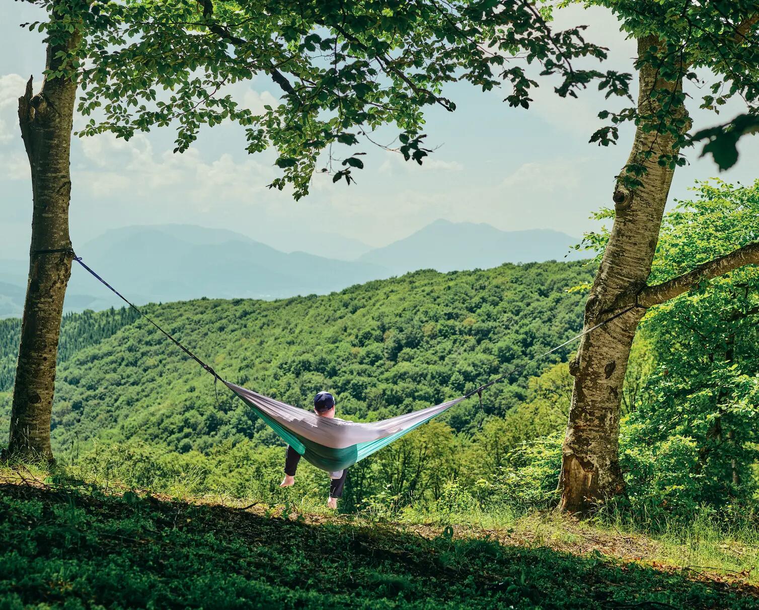 Hamac hikerjoy, 270x140 cm, curele prindere si carabine incluse, verde cu gri 6/7