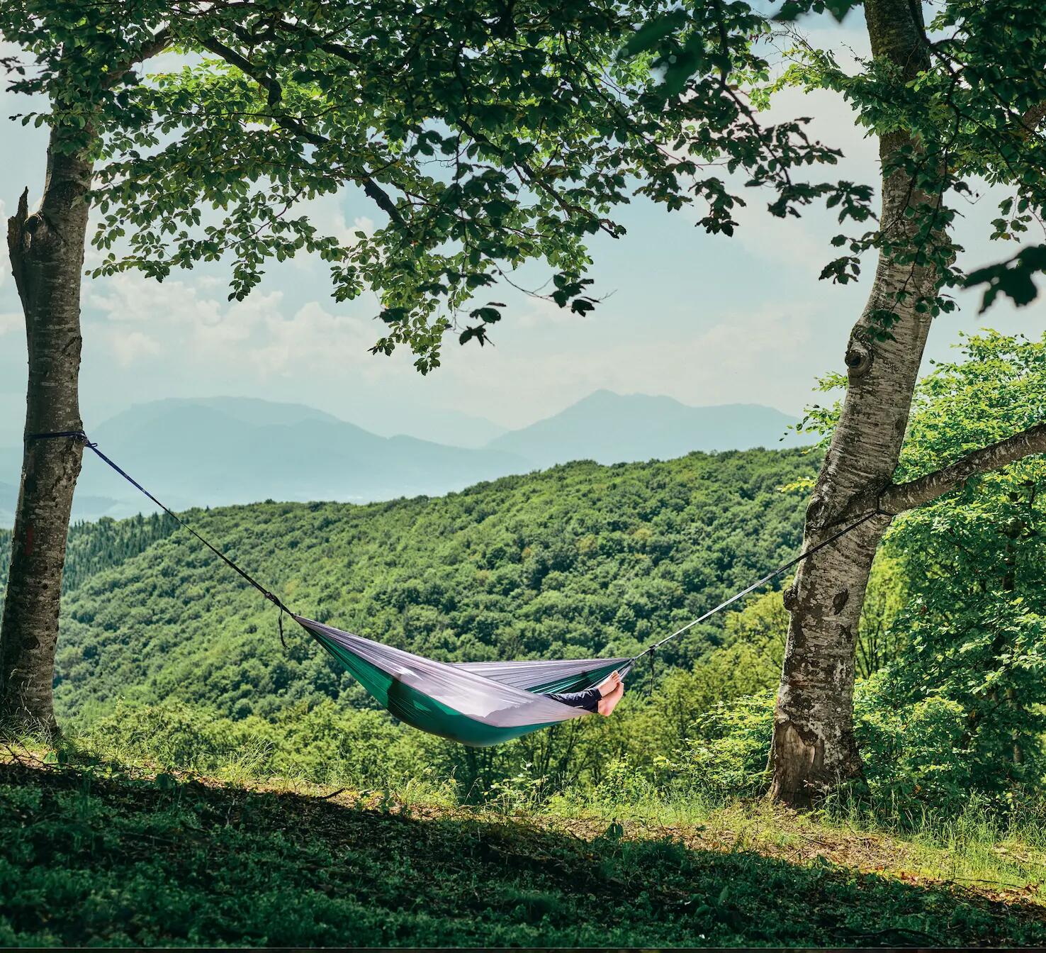 Hamac hikerjoy, 270x140 cm, curele prindere si carabine incluse, verde cu gri 4/7