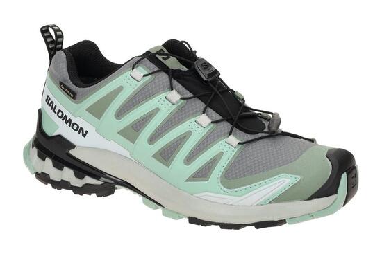 Salomon XA Pro 3D V9 Schuhe Damen grün grau GORE-TEX 478231