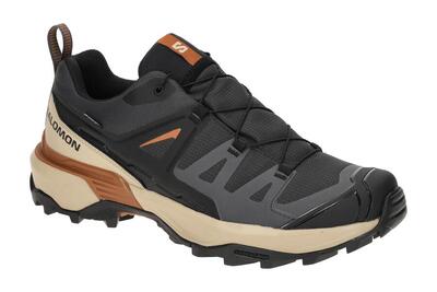 Salomon X Ultra 360 GTX Schuhe grau phantom GORE-TEX 476870
