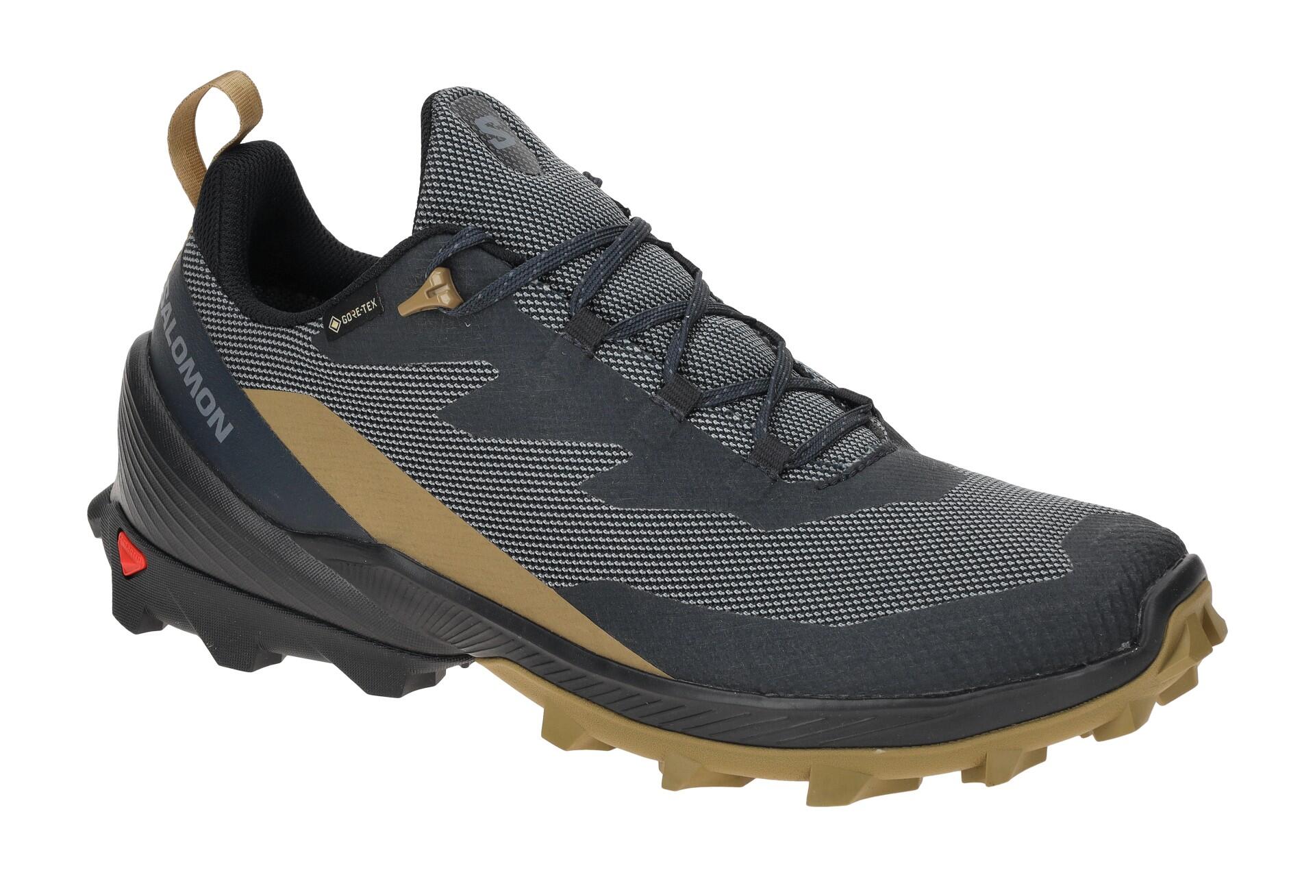 SALOMON picture