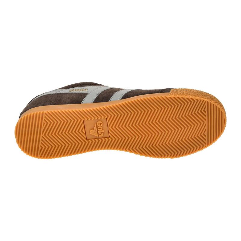 Baskets Homme Baskets Gola HARRIER Marron Gola