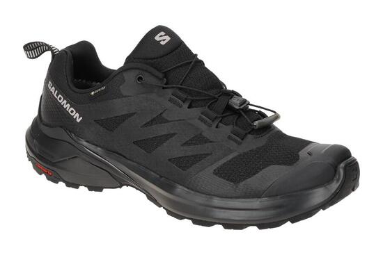Salomon X Adventure GTX Schuhe schwarz GORE-TEX 473218
