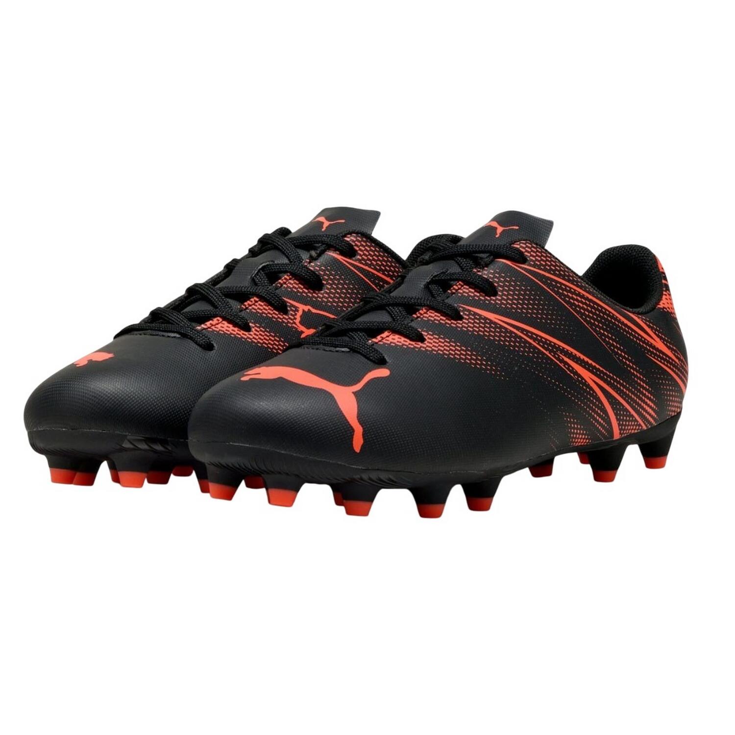 PUMA picture