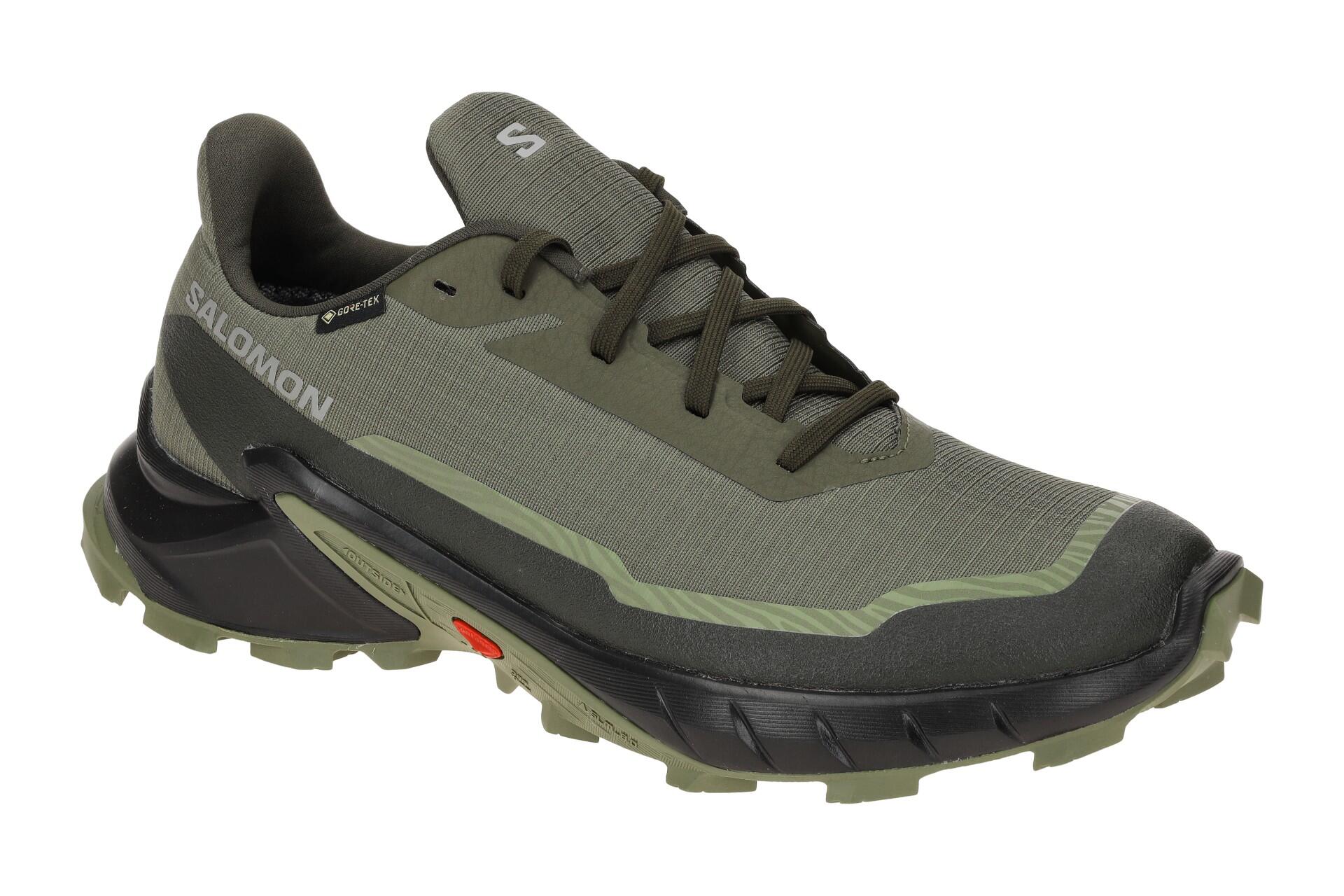 SALOMON picture