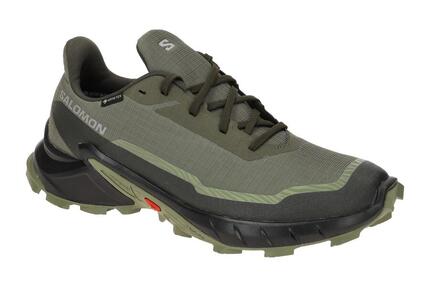 Salomon Alphacross 5 GTX Schuhe grün olive GORE-TEX 473103
