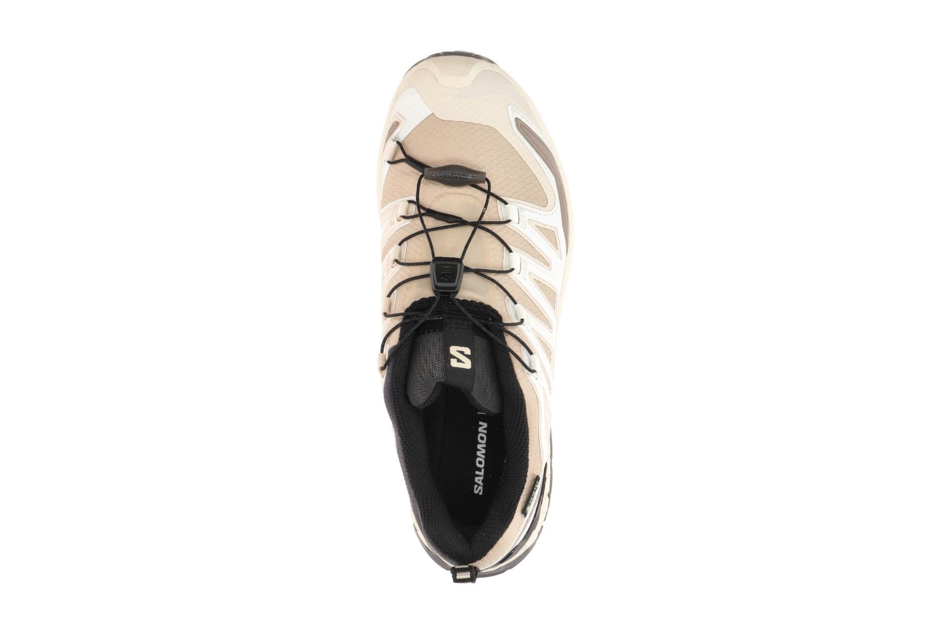 Salomon XA Pro 3D V9 Schuhe Damen beige GORE-TEX 478176 6/7