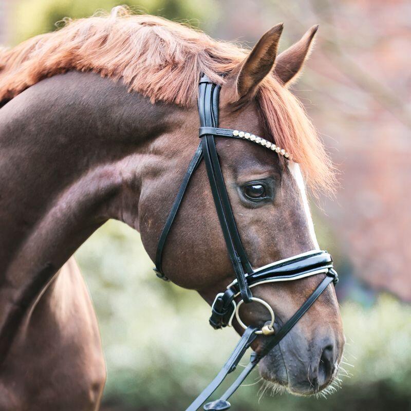 Briglie anatomiche per l'equitazione Kavalkade Fortuna 5/5