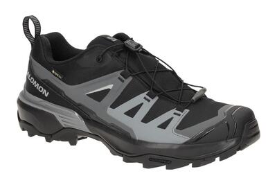Herren trekking Schuhe Salomon Ultra 360 Gtx Gore-tex