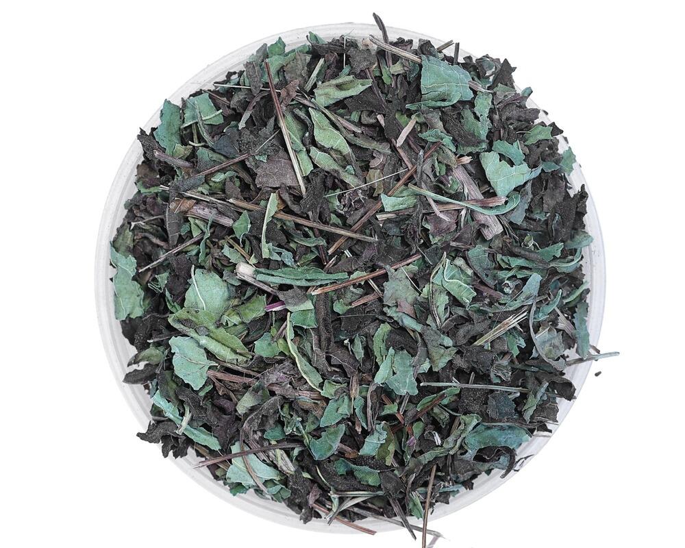 Jeżówka - Echinacea EQUIHERBS 2/3