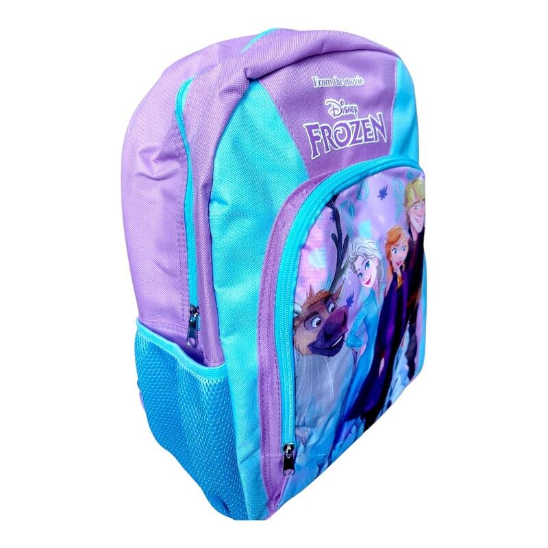 Rucsac, 40x30x15 cm, cu doua compartimente, bretele intarite si ajustabile, Froz