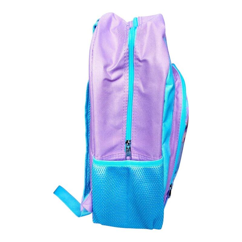 Rucsac, 40x30x15 cm, cu doua compartimente, bretele intarite si ajustabile, Froz