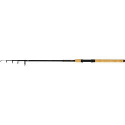Canne spinning Zebco Trophy Spin 10-42 g
