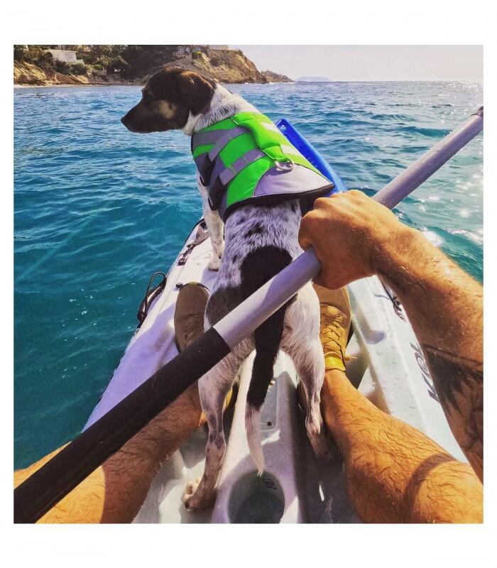 PROFESSIONELE reddingsvest voor honden / voor 15 - 40 kg enkel 131,12 € | SVB