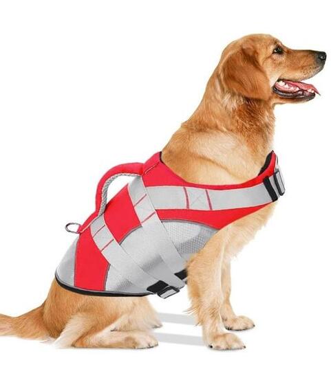 Gilet de sauvetage PREMIUM pour chiens