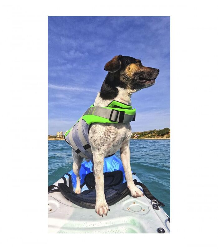 Chaleco salvavidas PREMIUM para perro 3/3