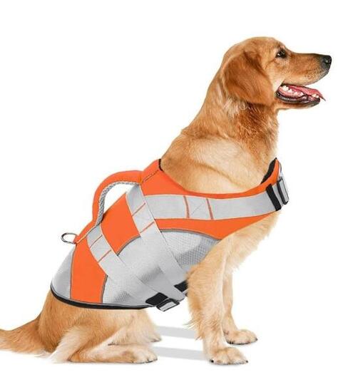 Gilet de sauvetage PREMIUM pour chiens