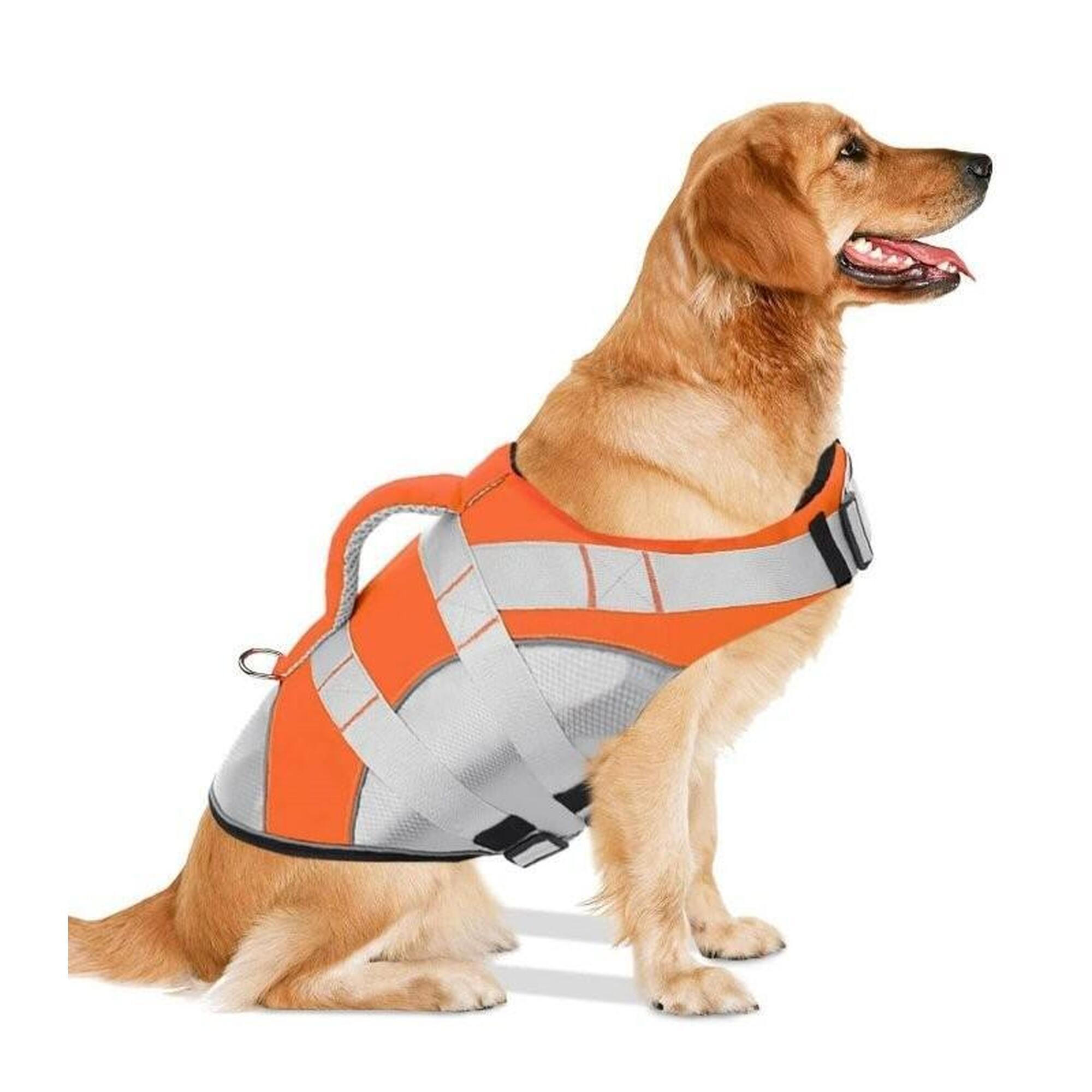 Kol Outdoor - Gilet De Sauvetage Premium Pour Chiens - Gilet De Protection - Orange - Decathlon