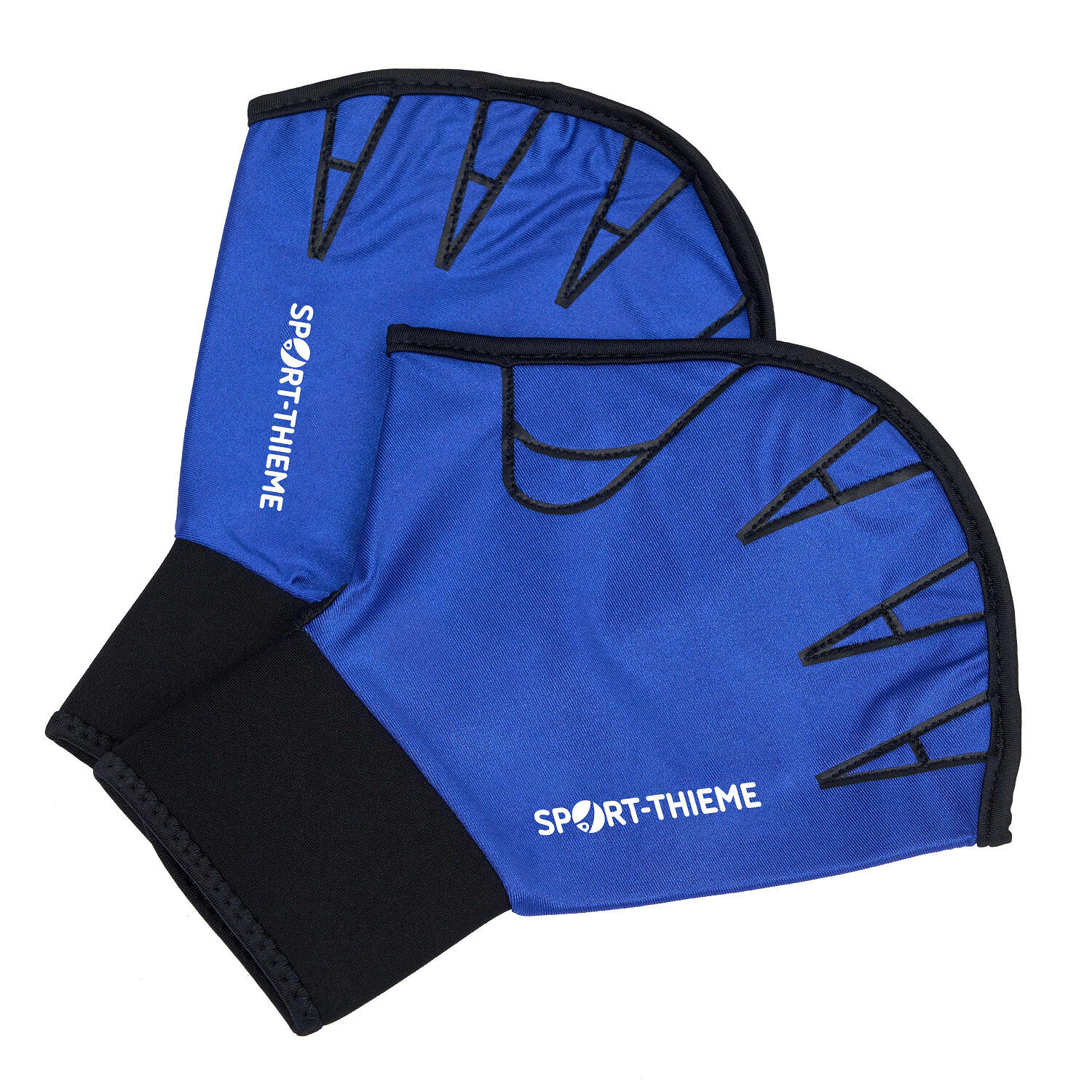 SPORT-THIEME picture