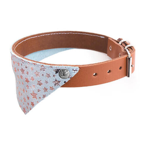 Dog collar Martin Sellier Miami