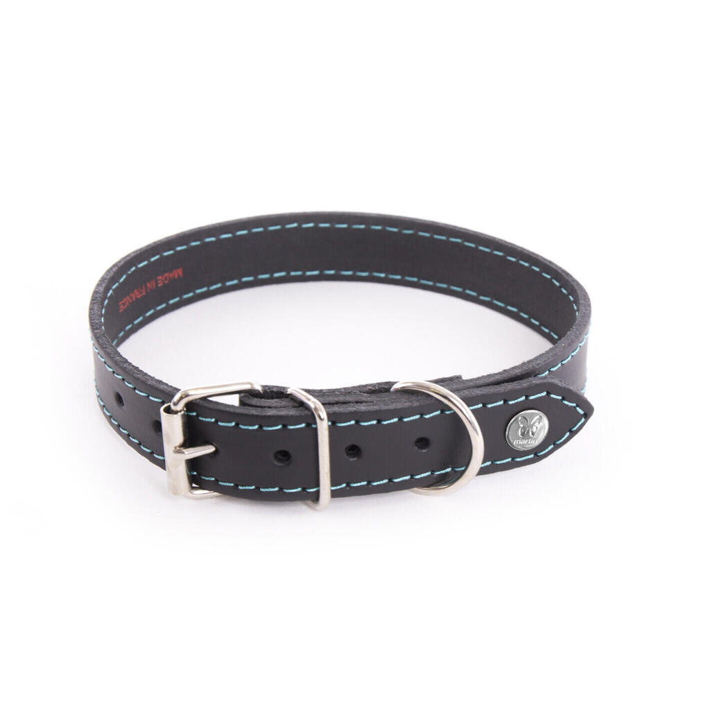 Dog collar Martin Sellier Flash