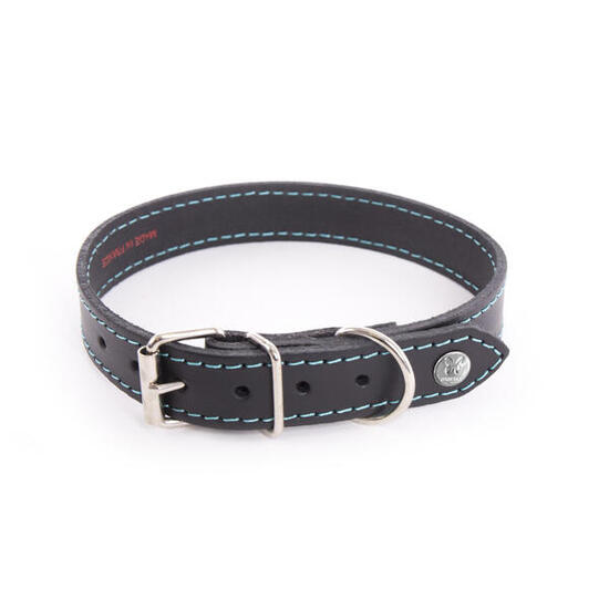 Collier pour chien Martin Sellier Flash