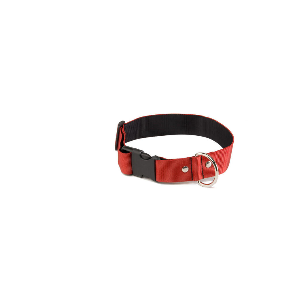 Dog collar Martin Sellier L