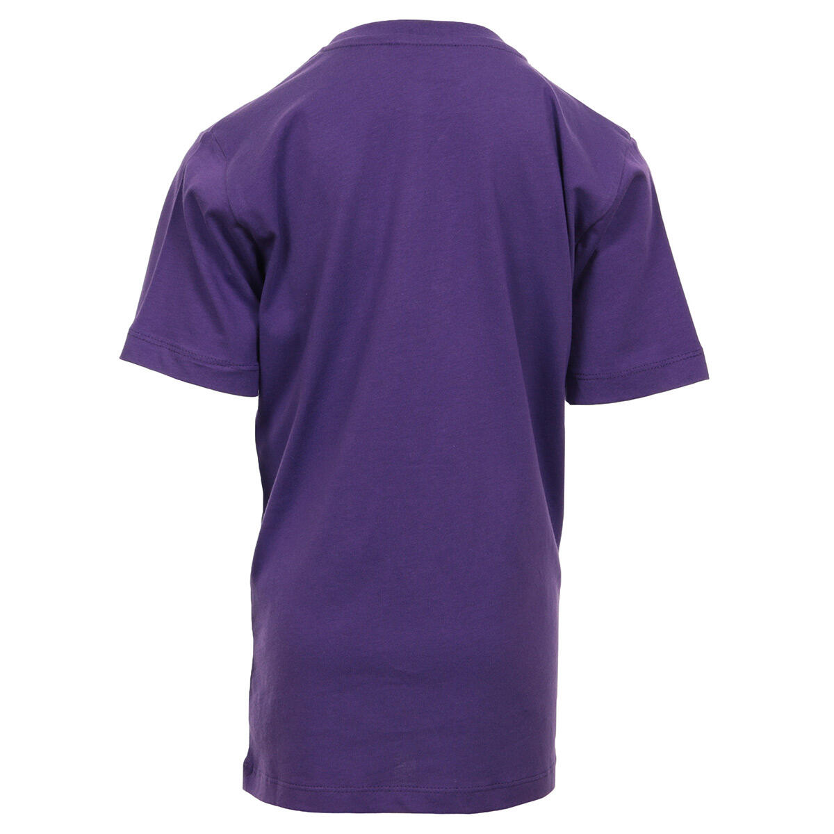 T-shirt Fille Kids Classic Logo Tee "Tillandsia" 2/2