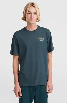O'neill o'neill t-shirts o'neill small chest print t-shirt heren alma steel