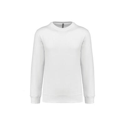 Sweater met ronde hals kariban