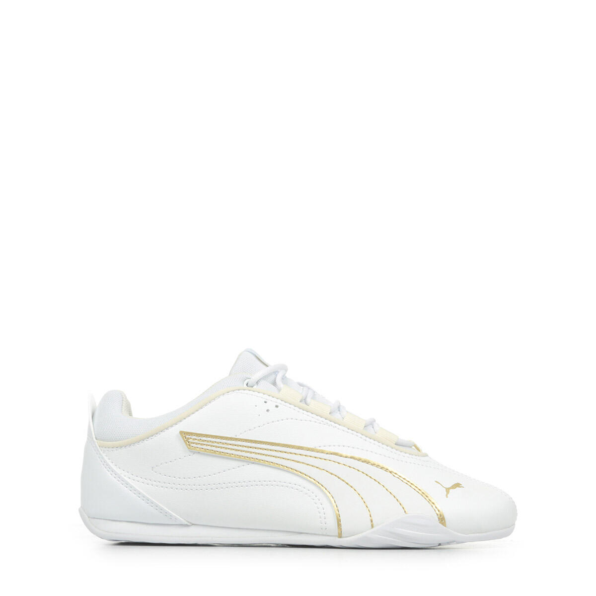 PUMA picture