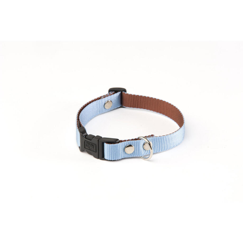 Dog collar Martin Sellier S