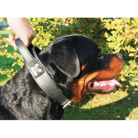 Collare per cane da intervento con maniglie in pelle di bovino Martin Sellier 2/2