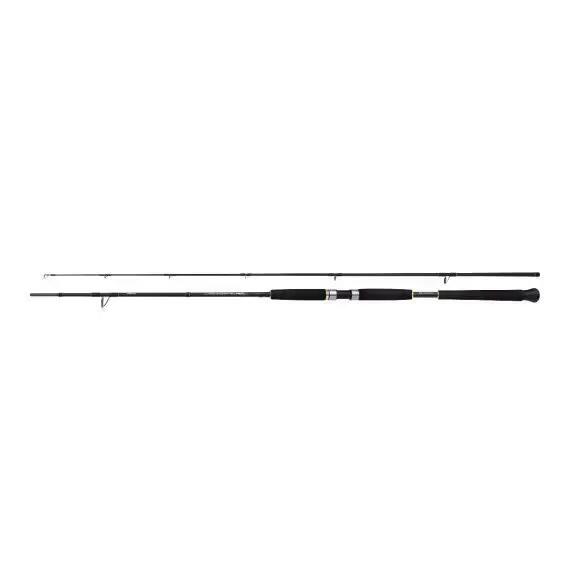 Casting rod Shimano Beastmaster AX Pilk 40-95g