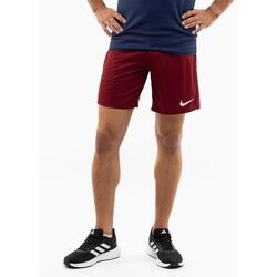 SHORT DRI-FIT PARK 3 BV6855 677