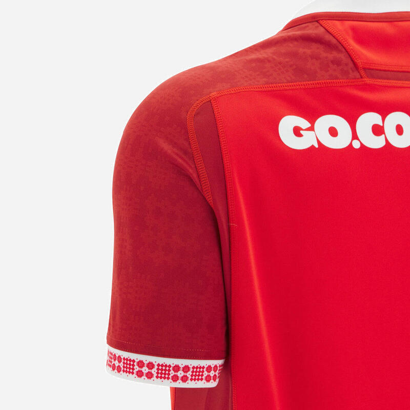Tricou Replica Acasă Țara Galilor pentru Adulți 2025/26