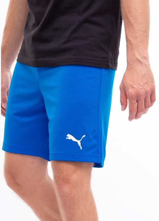 PUMA picture