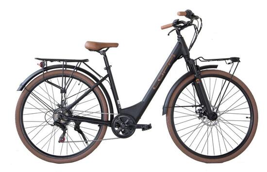 Queens 29” e-bike da città 250W acciaio monotubo 6V donna