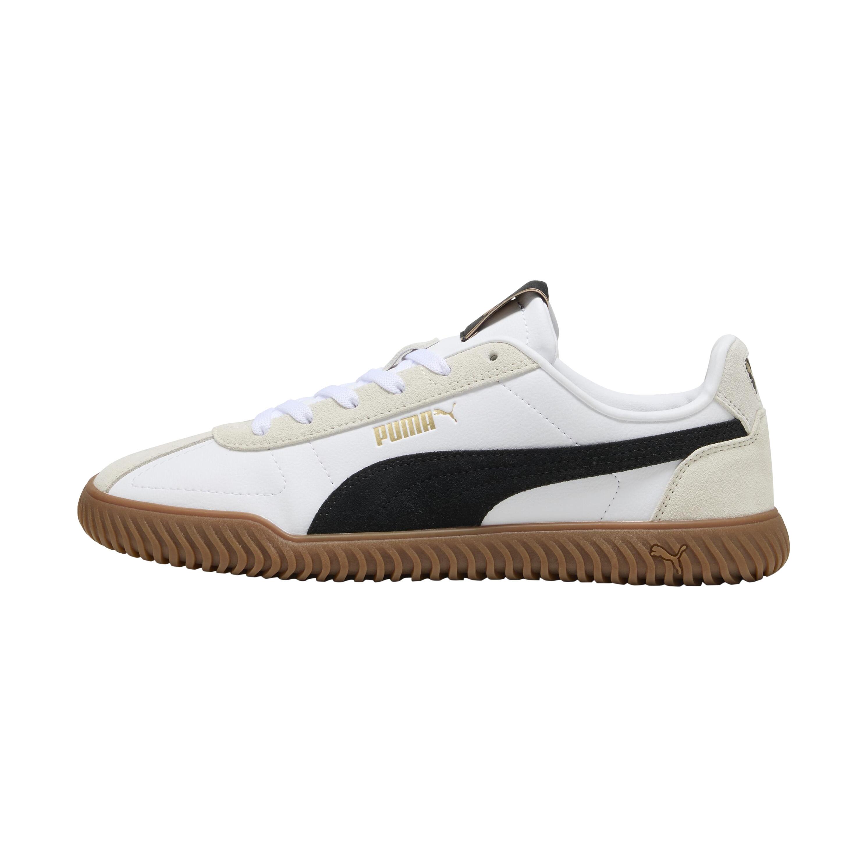 PUMA picture
