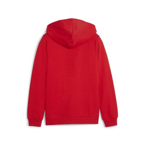 Veste PUMA Teamgoal Casuals avec Capuche pour Garçons 2/4