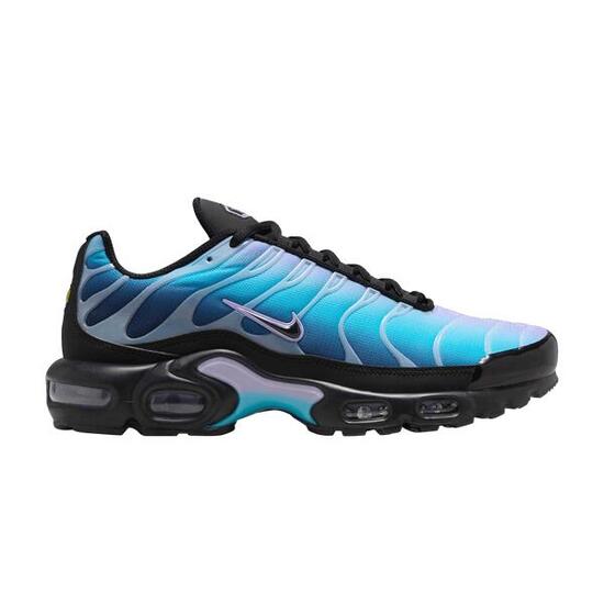 Nike Air Max Plus Black Hydrangeas (Womens)